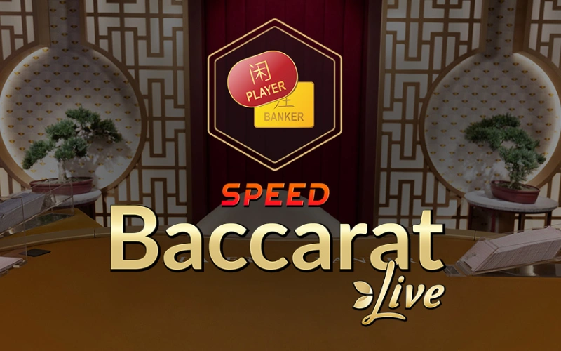 Enjoy rapid-fire action and quick results with Speed Baccarat on the official Dafabet live casino.